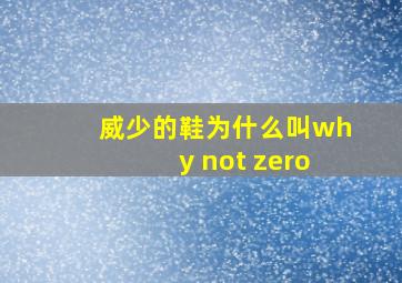 威少的鞋为什么叫why not zero